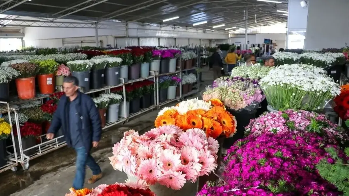 Anneler Günü öncesi İzmir’den Türkiye Geneline 8 Milyon Dal Çiçek Gönderildi