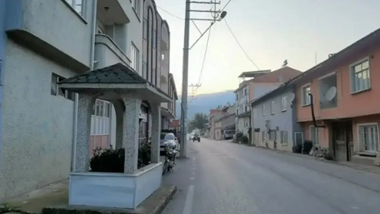 Bursa'da 'gizemli mezar': Bakanlığa başvurdu