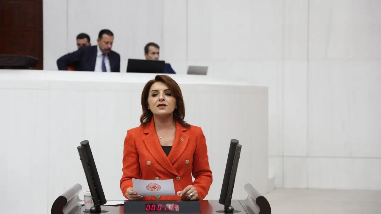 CHP’li Kış, AKP’nin ‘varlık barışı’ düzenlemesine tepki gösterdi: Halkın beklediği varlık barışı değil, geçim nefesidir