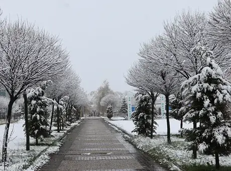 Fotoğraflar bugün çekildi! Mayıs ayında kar sürprizi... Kent merkezi bembeyaz