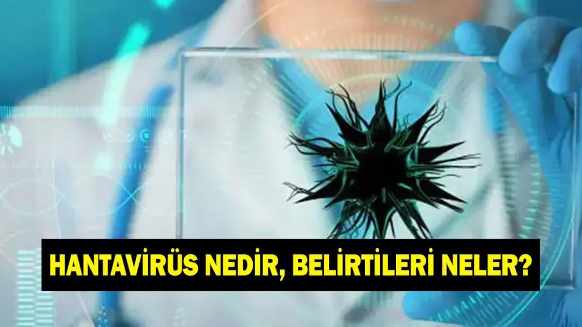 Hantavirüs nedir, belirtileri neler? Hantavirüs bulaşıcı mı, korunma yolları neler?