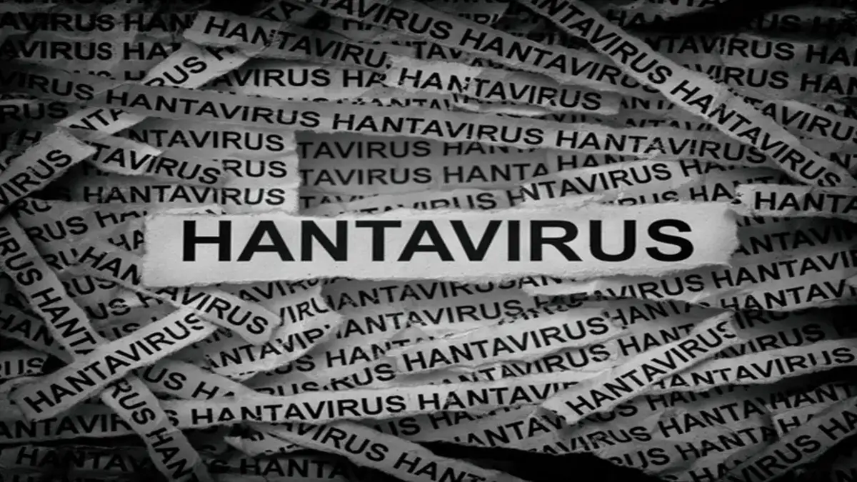 HANTAVİRÜS NEDİR, NASIL BULAŞIR? Hantavirüs Belirtileri Neler? Hantavirüs İnsandan İnsana Bulaşır Mı? Dünya Sağlık Örgütü Ne Diyor?