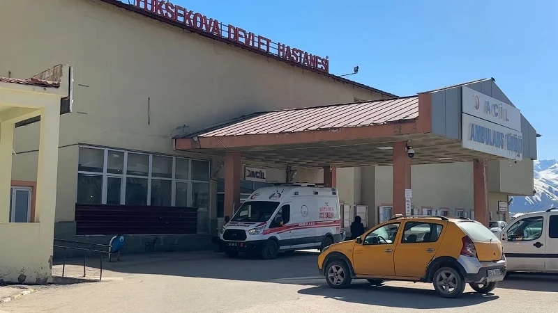 Hayvan otlatma sırasında patlama: Çoban yaralandı üç koyun telef oldu