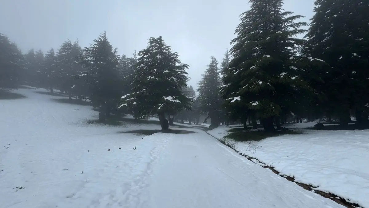 Huzurlu Yaylası’na kar yağdı