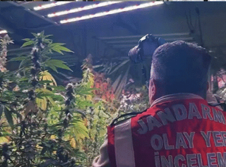 Jandarmadan 30 ilde dev uyuşturucu baskını! Sosyal medyadan satıyorlardı