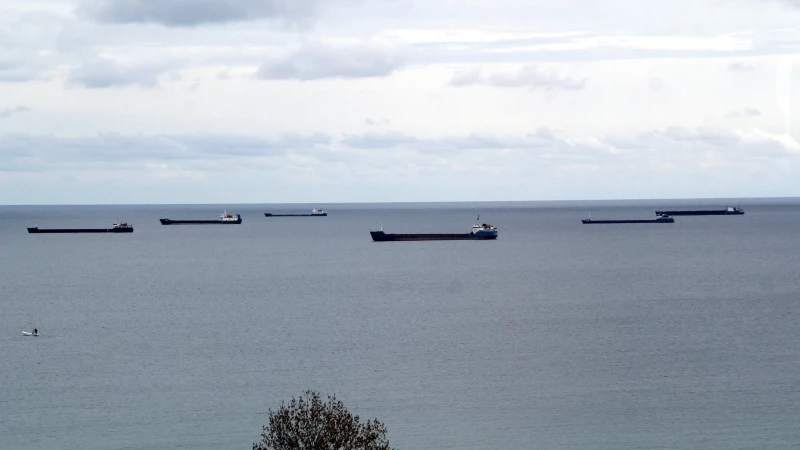 Karadeniz'de beklenen fırtına öncesi yük gemileri Sinop doğal limanına demirledi