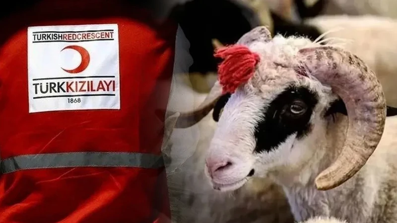 Kızılay’dan kurban bağışında dört taksit kolaylığı
