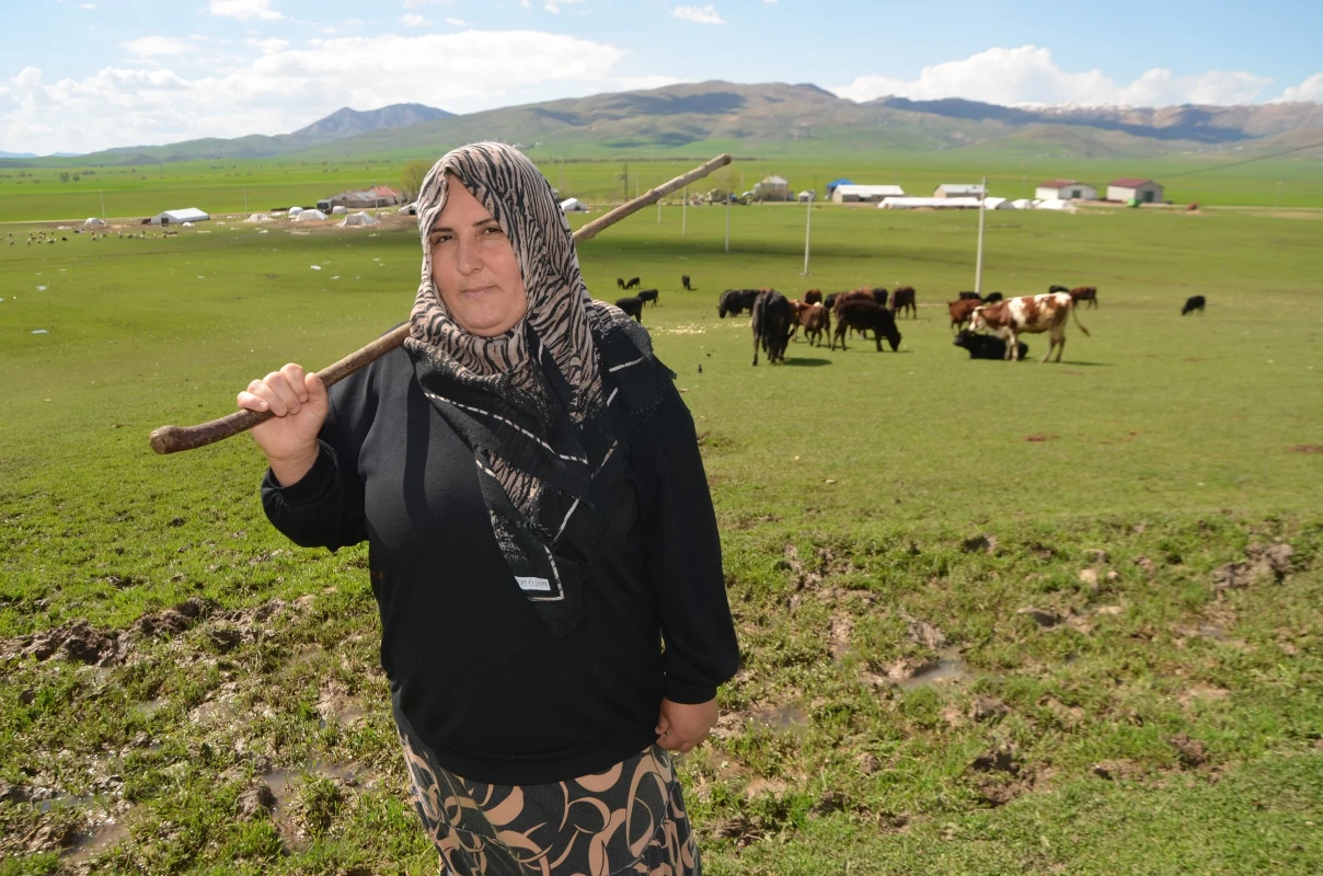 Muşlu dört çocuk annesinin başarı hikayesi: 15 inekle başladı, 9 ayda sürüsünü ikiye katladı
