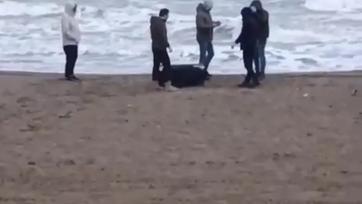 Sahile vuran çantadan 21,5 kilo uyuşturucu çıktı