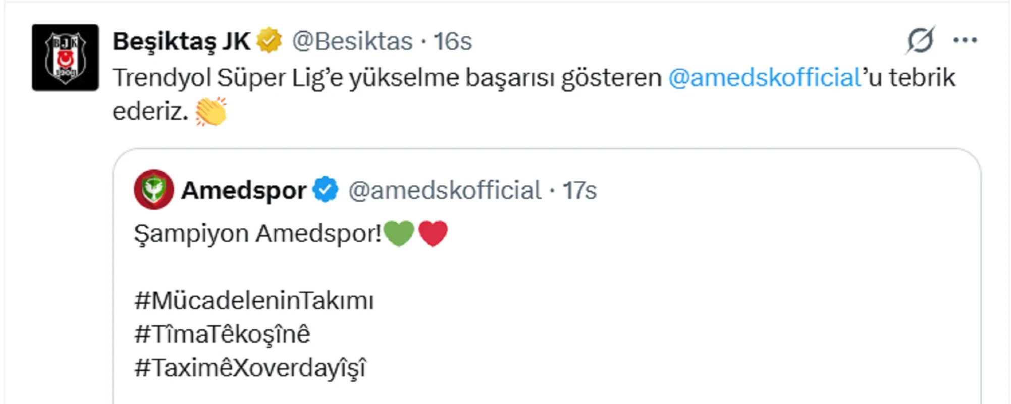Süper Lig'e çıkan Amedspor'u sadece tek büyük kulüp kutlamadı