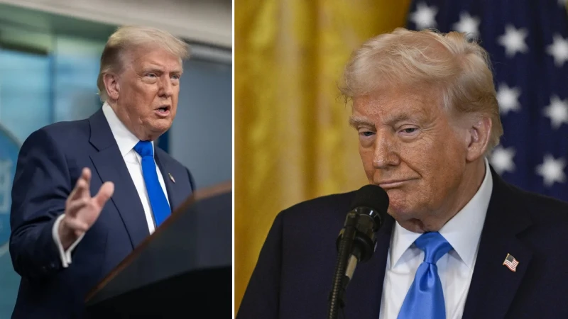 Trump'tan Özgürlük Projesi'nin kısa süreliğine durdurulması kararı