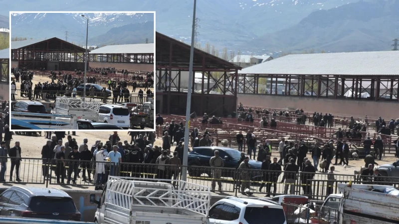Van'da hayvan pazarında kavga: Ölü ve yaralılar var